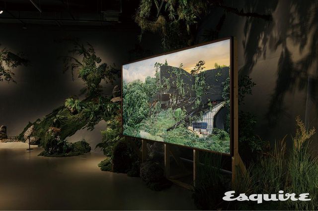 권지연 조경가와의 협업으로 조성된 원성원 작가의 작업 전시 공간.