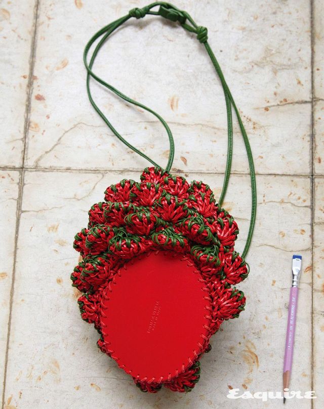 딸기 모티브 크로셰 파우치 가격 미정 보테가 베네타.