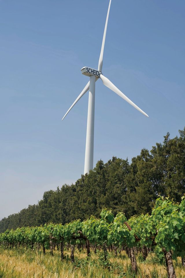 샤이드 패밀리 와인즈는 아마도 풍력발전으로 부지 전체의 전기를 과충족하는 세계 유일의 와이너리일 것이다. 이들의 풍력 터빈은 100%가 넘는 전기를 생산해 주변 지역 125가구에 에너지를 나누고 있다. 