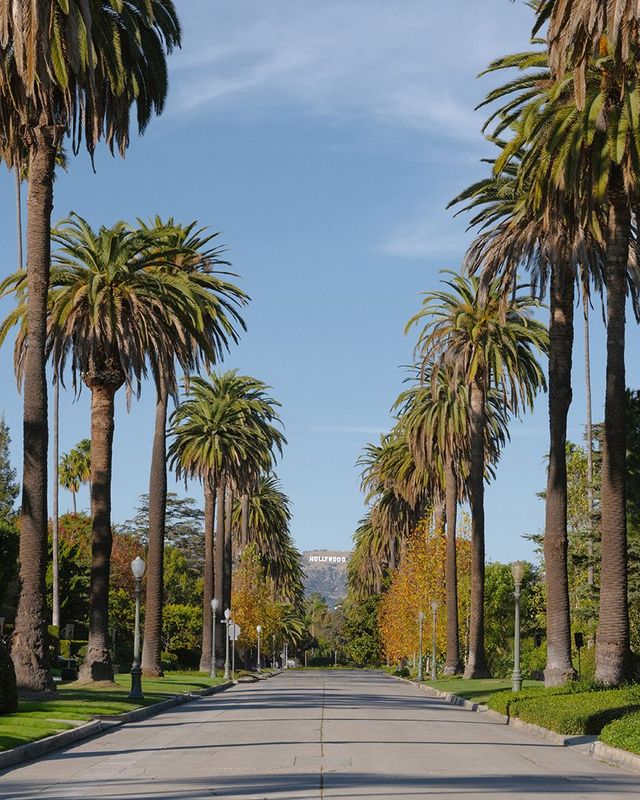 발렌시아가 2024 가을 컬렉션