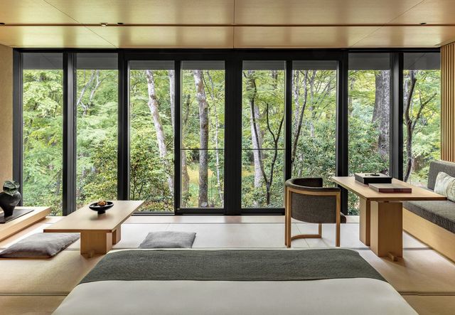 통창을 통해 숲을 만끽할 수 있는 객실 내부.