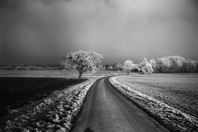 Leica Monopan 50 작례