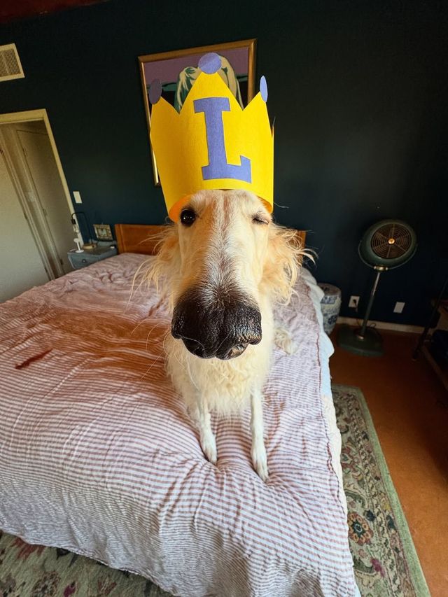 인스타그램 @esperborzoi