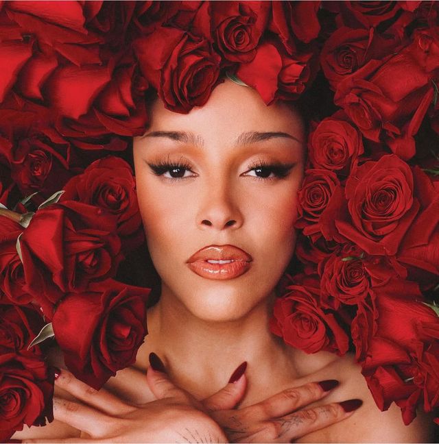 인스타그램 @dojacat