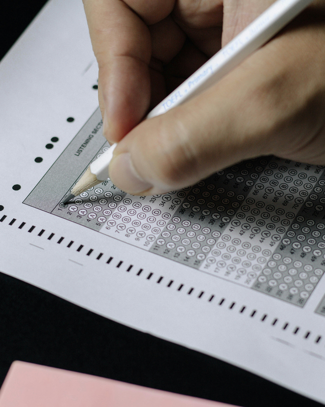 출처 언스플래쉬