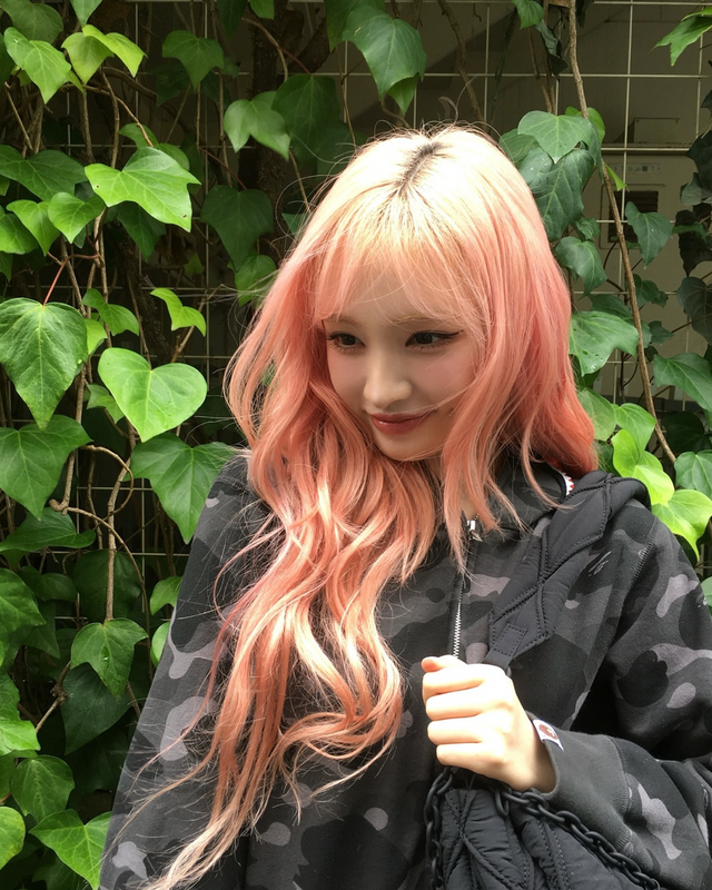 앞있: 엘리자베스 헬가 뮐러