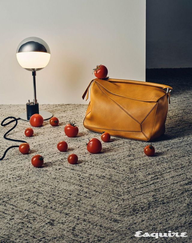 큐브 형태와 정교한 커팅이 돋보이는 카프스킨 라지 퍼즐 백 610만원 로에베. 