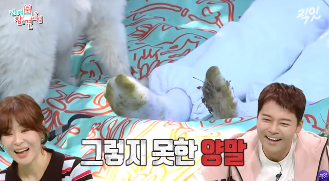 전지적 참견 시점