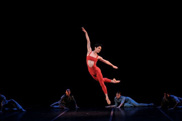 불새의 신화적 이미지를 출발점으로, 러시아 작곡가 스트라빈스키의 음악 속에 흐르는 본질을 무대 위 춤으로 끌어올렸다. / 출처: 바이브컴퍼니 제공