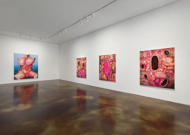 여성혐오 이미지를 실크스크린 기법으로 캔버스에 전사한 후 파편화된 신체, 내장, 눈과 입술 같은 ‘구멍’의 이미지와 병치했다. / 출처: 국제갤러리 제공