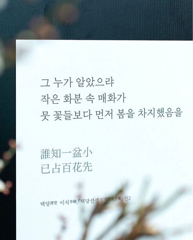 SNS 이벤트도 준비되어 있다. / 출처: 국립중앙박물관 인스타그램