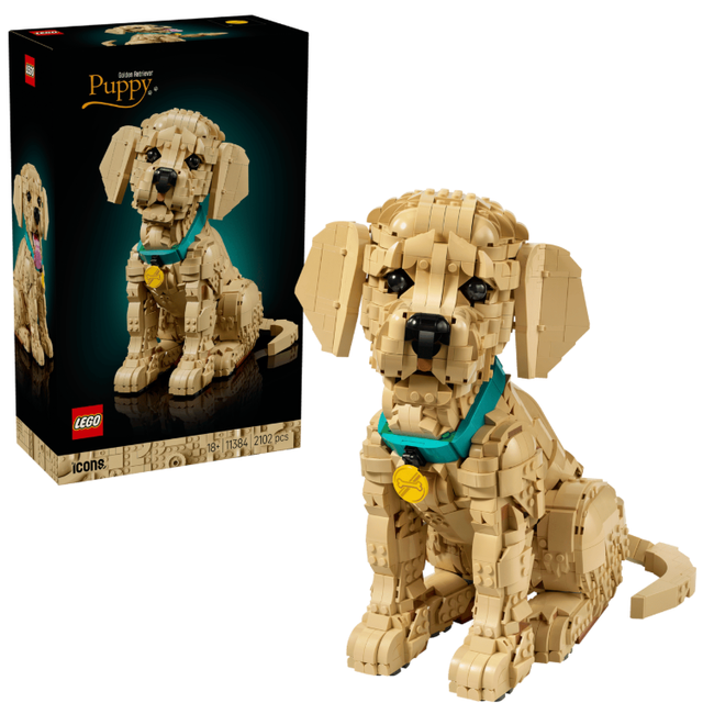 골든 리트리버 강아지