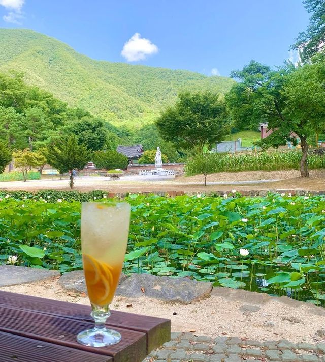 자연 속에 자리한 카페 세심다원 / 이미지 출처: 인스타그램 @ssdw_tea