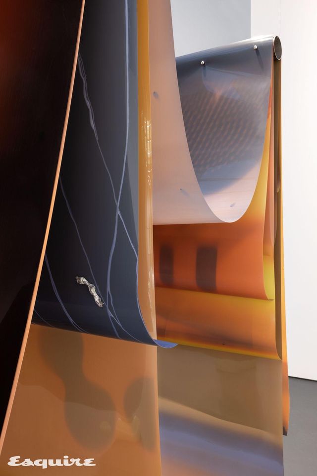 로터스 강의 필름 작업. Molt (Woodridge-New York-Berlin-), 2024 - 2025 Tanned and unfixed film (continually sensitive), spherical magnets, cast aluminum kelp knots, photograph, tape, steel wire and steel tubes. Courtesy of the artist . Photo Andrea Rossetti