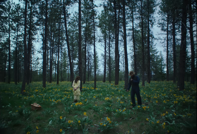 일반적인 와이드스크린 대신 3:2 화면 비율로 아이다호의 솟아오른 나무을 수직적으로 웅장하게 표현 / 이미지 출처: 넷플릭스