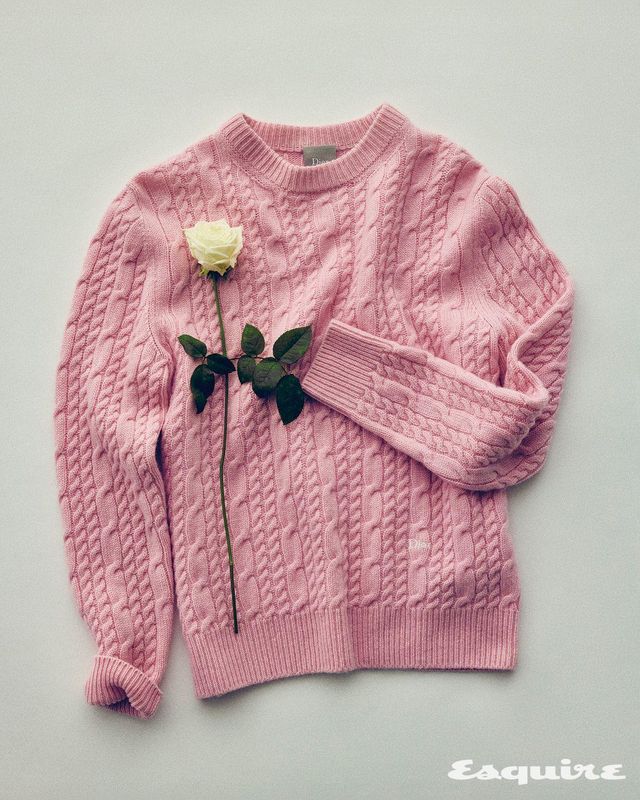 핑크 케이블 맨 스웨터 가격 미정 디올.