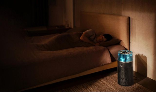 적당한 습도 조절과 실내 공기 청정 케어가 필요하다. / 이미지 출처: dyson.co.kr