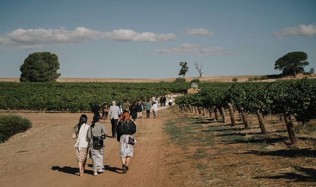 약 마흔 명의 기자와 크리에이터들이 각자가 원하는 호주를 탐험하고 그 이야기를 나누기 위해 바로사 밸리의 원더그라운드 갤러리 앤드 미러스 빈야드의 에스테이트에 모였다. 