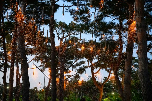 예전부터 내려져오던 전통 축제다. / 출처: 세종시문화관광재단