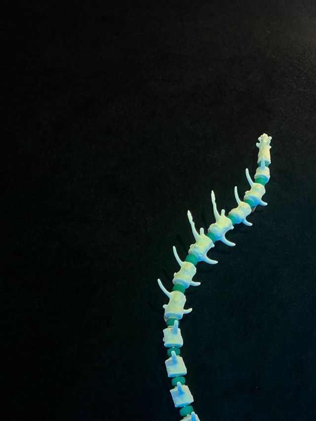 〈최적의 지연〉 전시 전경 / 이미지 출처: 필자 촬영