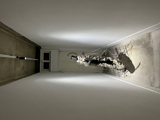 〈Irreversible Scenes: 자리 없는 몸들의 시간〉 전시 전경 / 이미지 출처: 필자 촬영