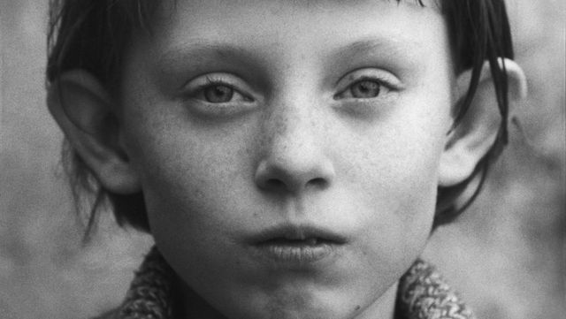 특별상영 섹션의 〈사탄탱고〉(벨라 타르) 스틸컷이다. / 출처: 전주국제영화제 홈페이지