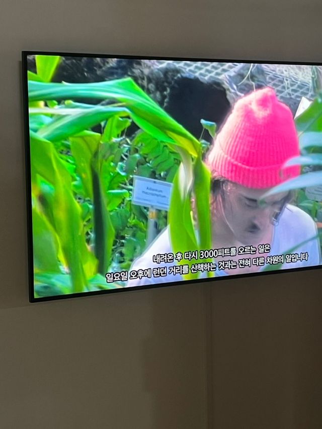 〈맞고도 틀린 --- Right Now, Wrong Then〉 전시 전경 / 이미지 출처: 필자 촬영