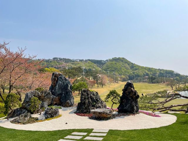 4월 초 벚꽃 시즌에 맞춰 방문했으나, 당시 개화 시기가 일러서 벚꽃이 다 떨어졌던 신라CC / 이미지 출처: 필자 촬영