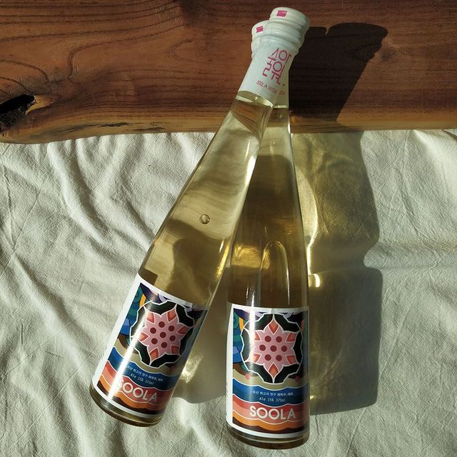 술아 매화('과하주'의 묵직함에 매화 향을 얹은 술아 매화. 봄꽃 전통주를 '저녁'으로 데려오는 한 병.) / 이미지 출처: 술아원 제공