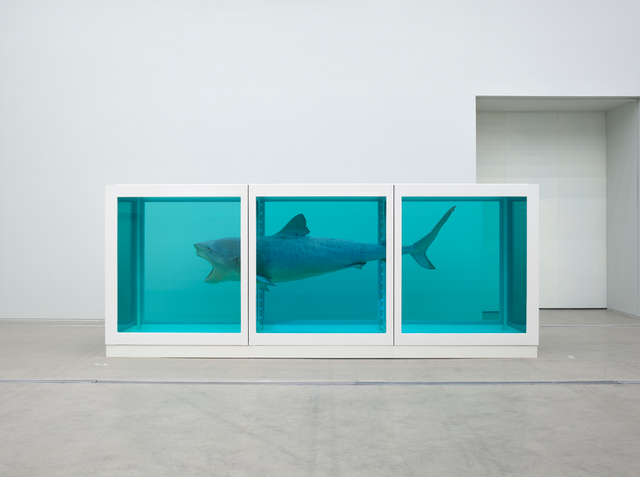 데이미언 허스트〈살아있는 자의 마음 속 죽음의 물리적 불가능성〉(1991) / 이미지 출처: 국립현대미술관 제공