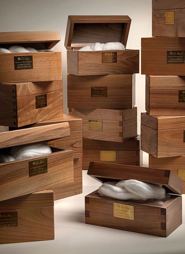 로로피아나가 보관한 레코드 메리노 울 베일.