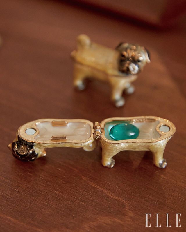 귀여운 퍼그 알약 케이스. 