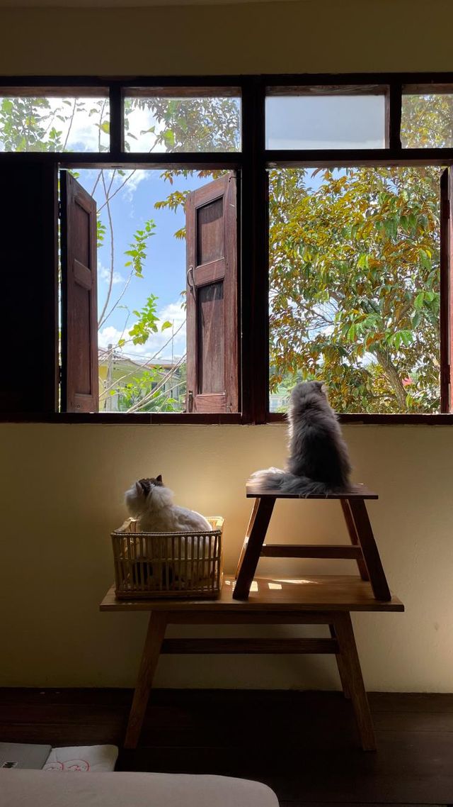 치앙마이 구시가지 근처에 위치한 이너프 포 라이프 스테이. 