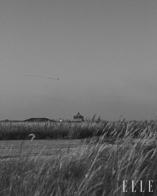 끝없이 날아가는 가마우지 무리. 자연과 공단 풍경이 공존하는 것은 군산의 특징이기도 하다.