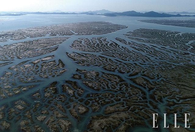 드론으로 촬영한 갯벌.
