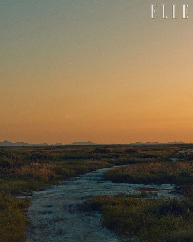 갯벌은 다시 바닷물과 닿으며 염습지로 태어났다. 수라에 내리는 노을.
