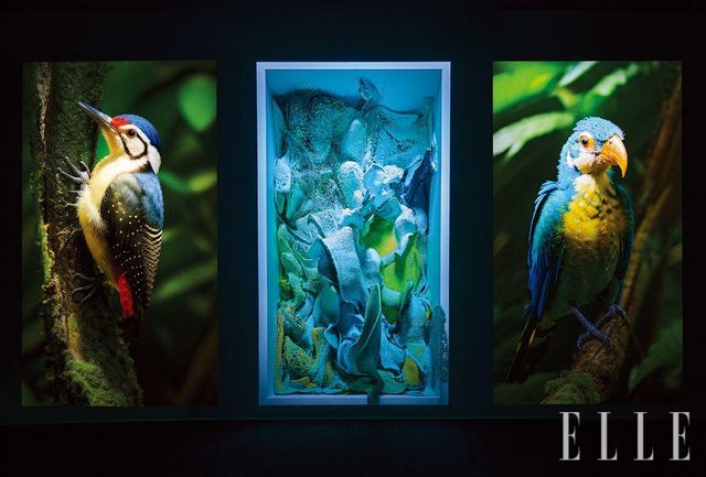  2개 층을 연결해 10.8m 높이로 이뤄진 전시실, 갤러리 4에서는 3개의 대형 화면과 스피커를 통해 ‘기계 환각 - LNM: 동물 Machine Hallucinations - LNM: Fauna’을 보고 듣는다.