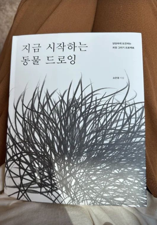 이효리 