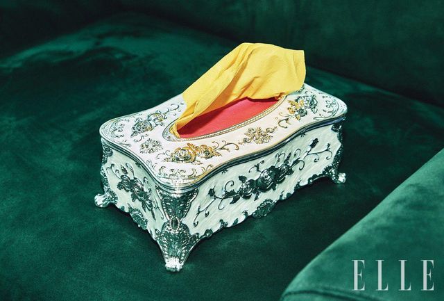 티슈 매니저의 휴지 케이스. 