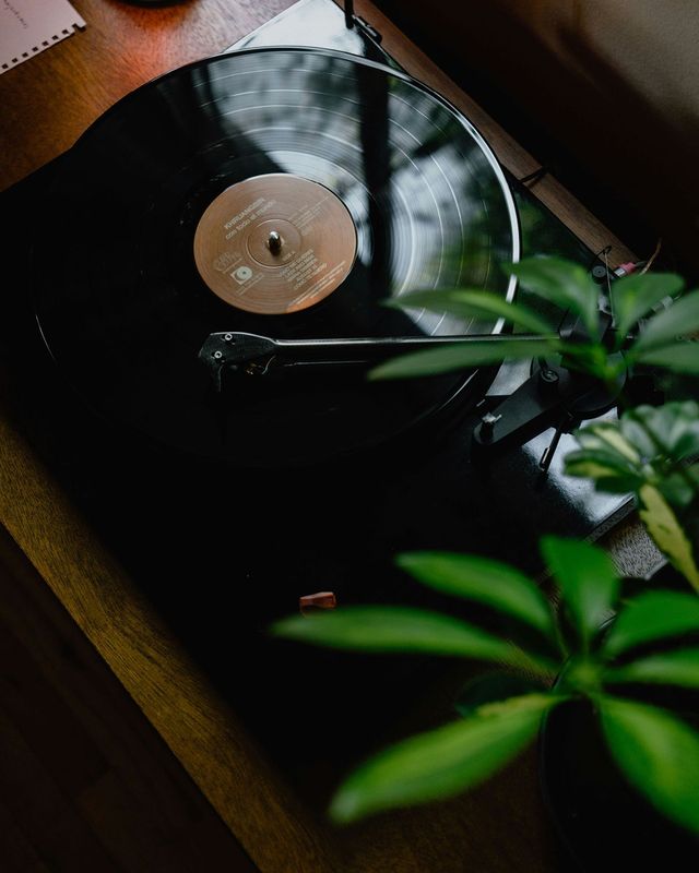 ⓒKevin McCuttcheon /unsplash