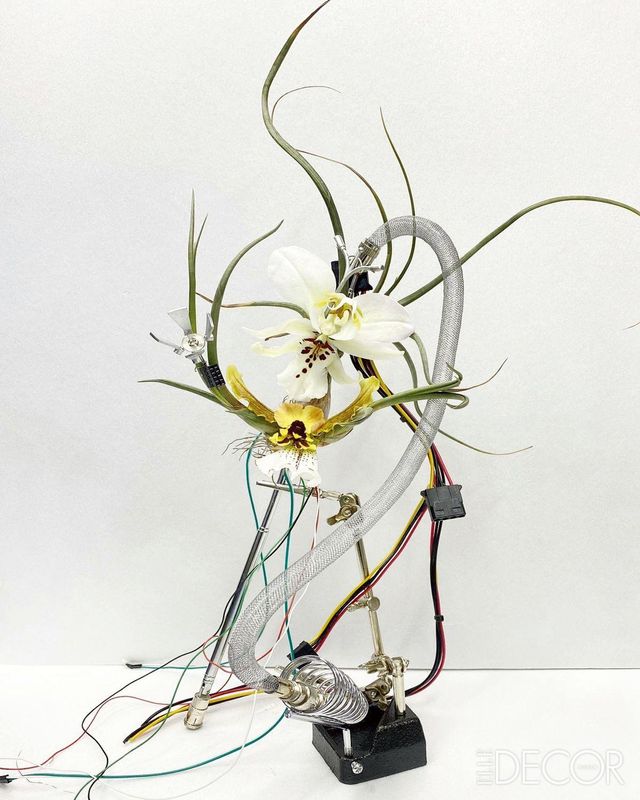 백색 미학을 통해 불교의 정서적 고요함과 자연의 순수함을 표현한 ‘白: 외계식물’. 