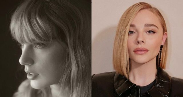 해리스 지지한 스타들 