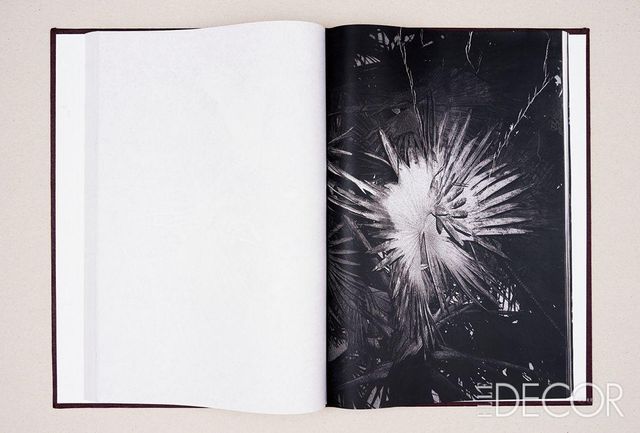 스리랑카 인쇄 방식으로 제작한 사진가 시프리앙 가이야르의 .