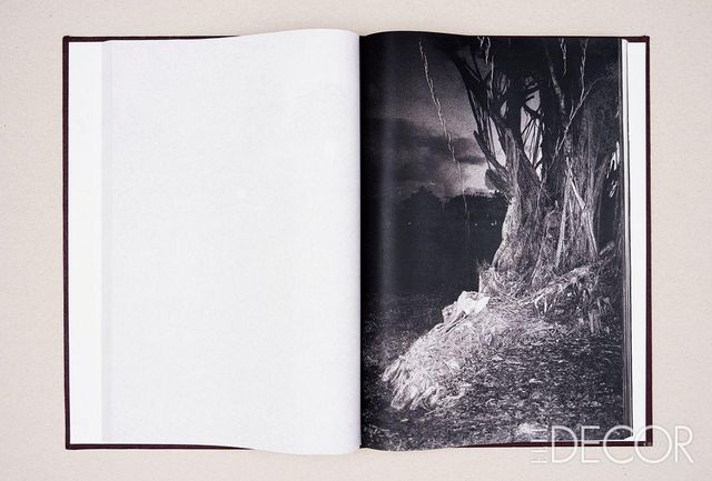 스리랑카 인쇄 방식으로 제작한 사진가 시프리앙 가이야르의 .