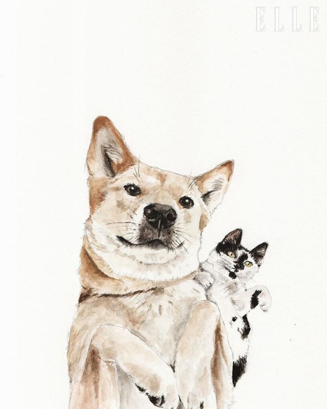 illustrator Kay McDonagh