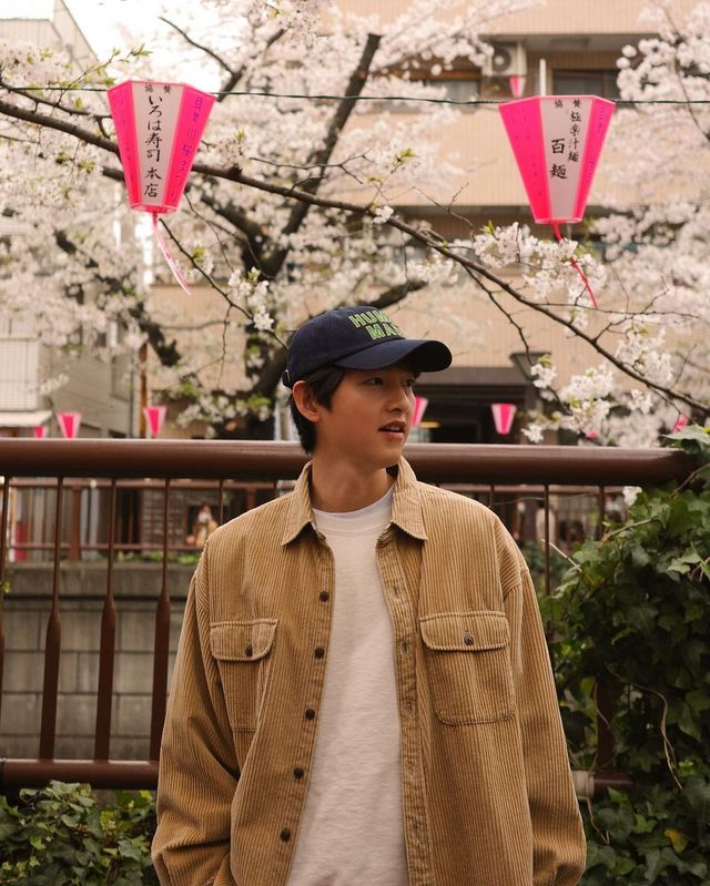 스타들의 벚꽃 인증샷 