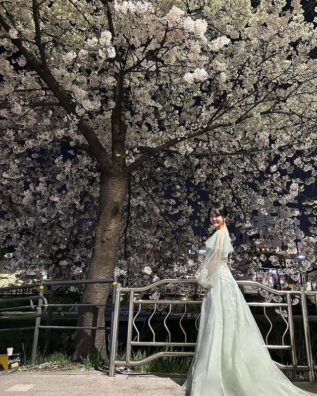 스타들의 벚꽃 인증샷 