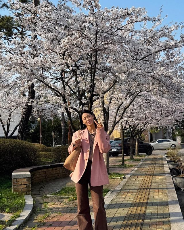 스타들의 벚꽃 인증샷 