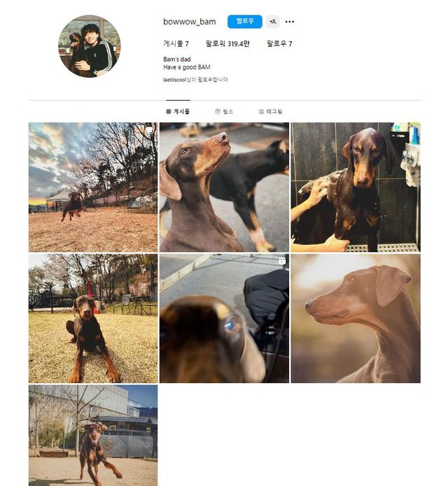 정국이 공개한 sns 계정 