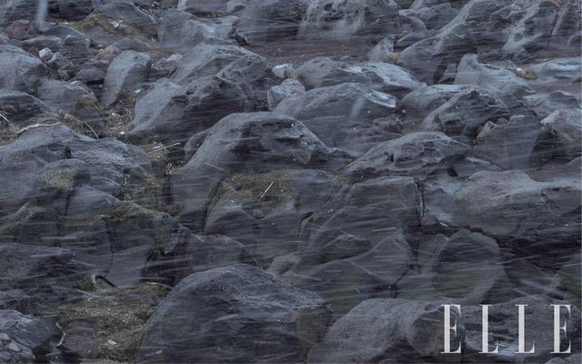 영화에 등장하는 제주의 자연 풍경